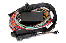 Load image into Gallery viewer, Haltech Elite 2500/2500 T 8ft Premium Universal Wire-In Harness