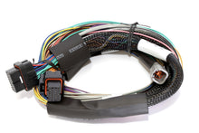 Load image into Gallery viewer, Haltech Elite 2500 8ft Basic Universal Wire-In Harness (No Relays or Fuses)