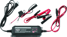 Load image into Gallery viewer, BikeMaster Intelligent Battery Charger