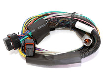 Load image into Gallery viewer, Haltech Elite 1500 8ft Basic Universal Wire-In Harness (No Relays or Fuses)